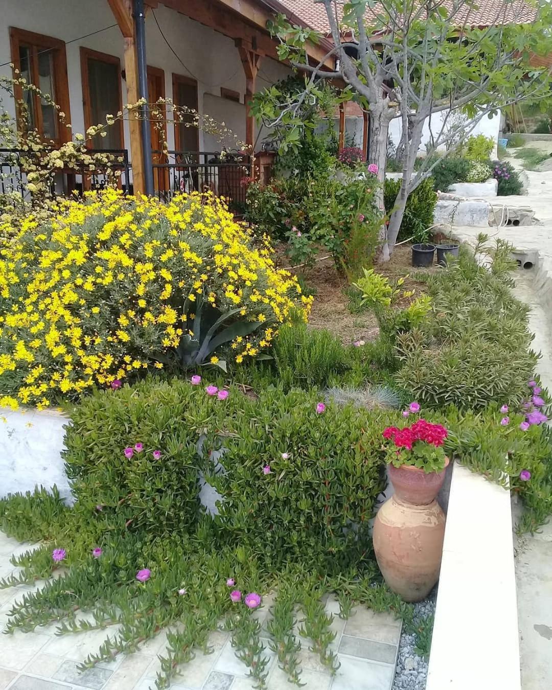 Ionia Guest House Aydin Extérieur photo
