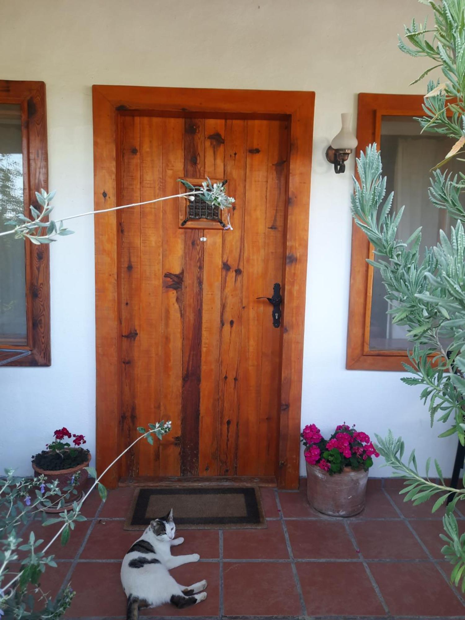 Ionia Guest House Aydin Extérieur photo