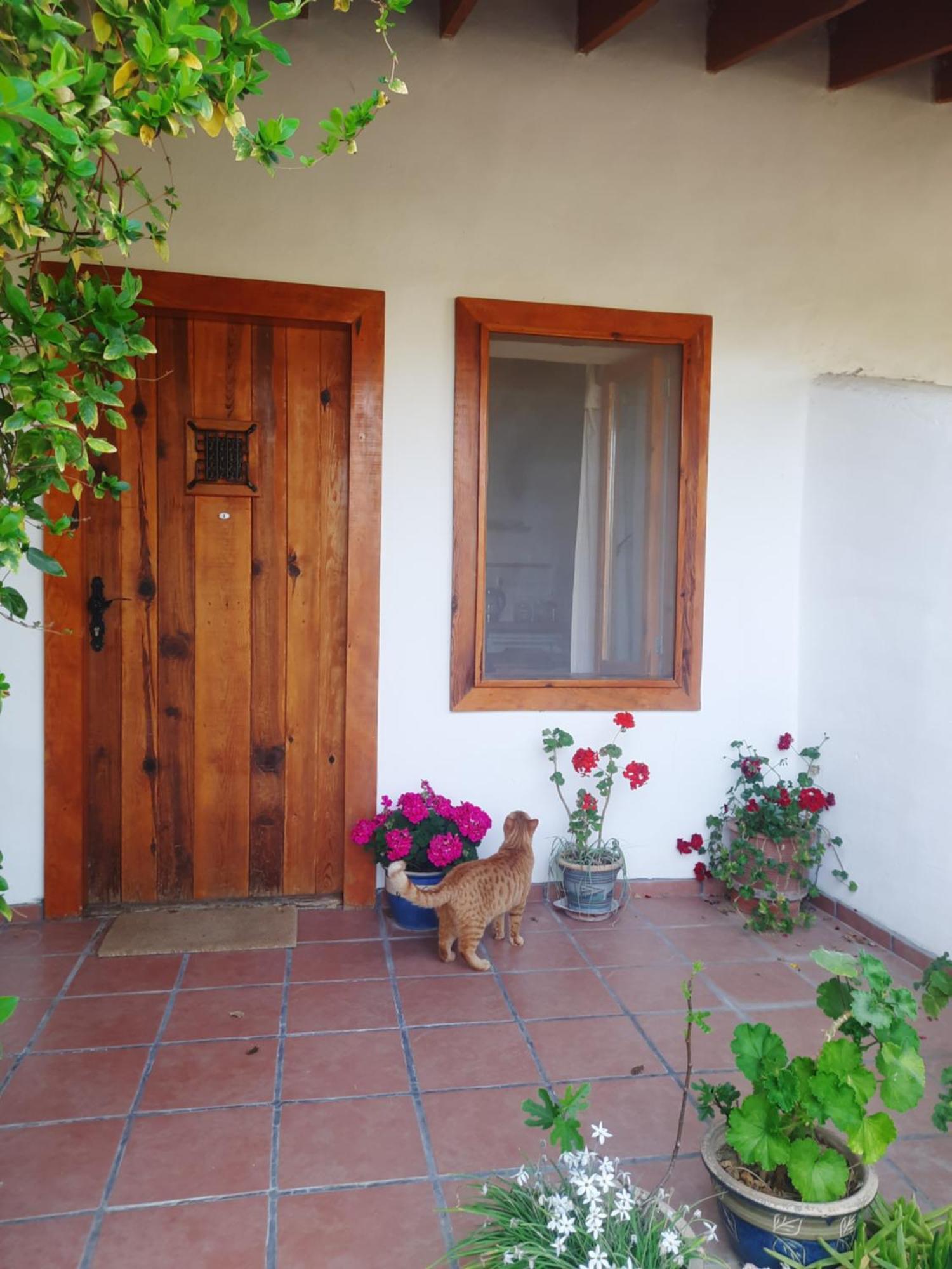 Ionia Guest House Aydin Extérieur photo