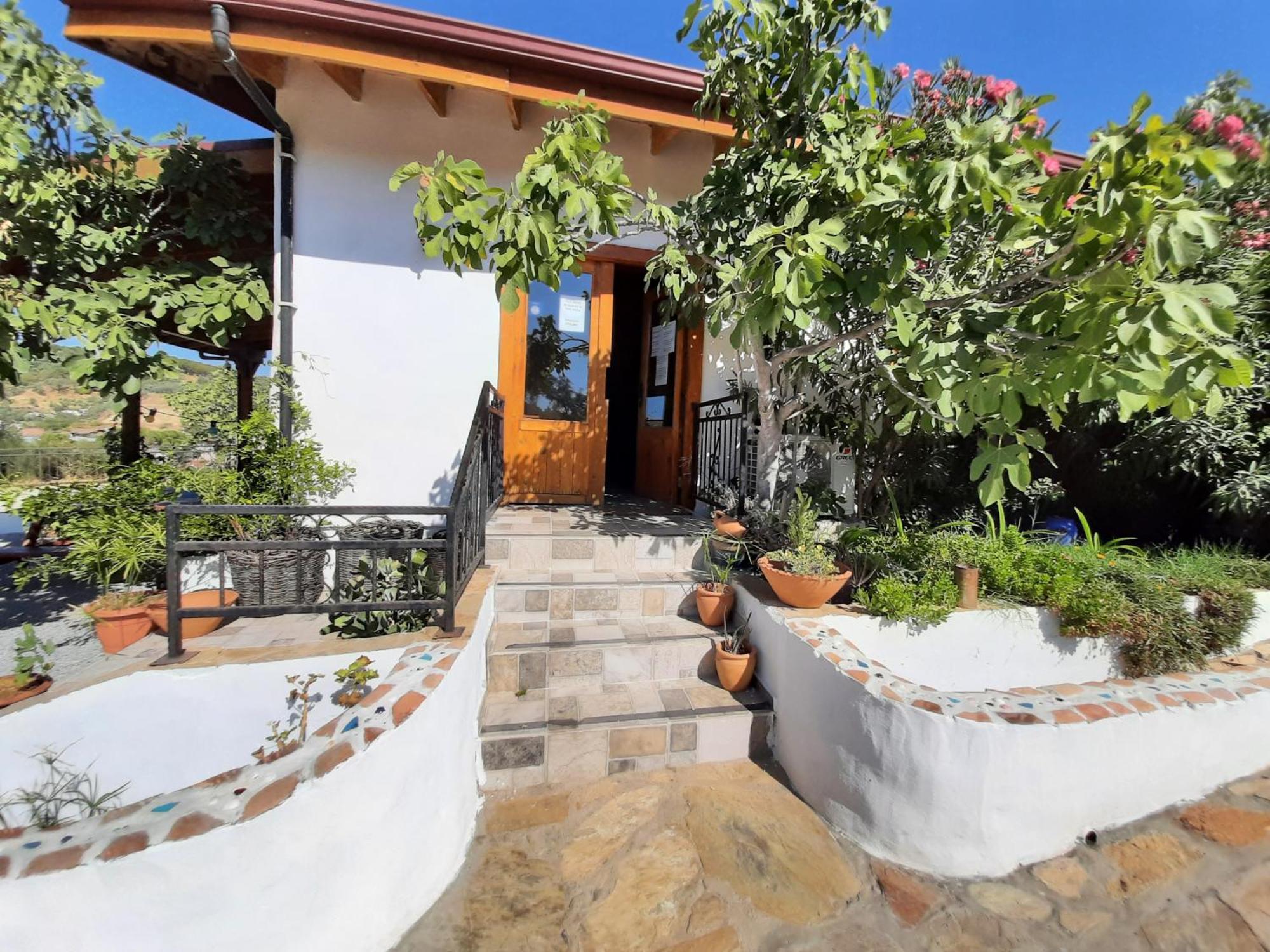 Ionia Guest House Aydin Extérieur photo