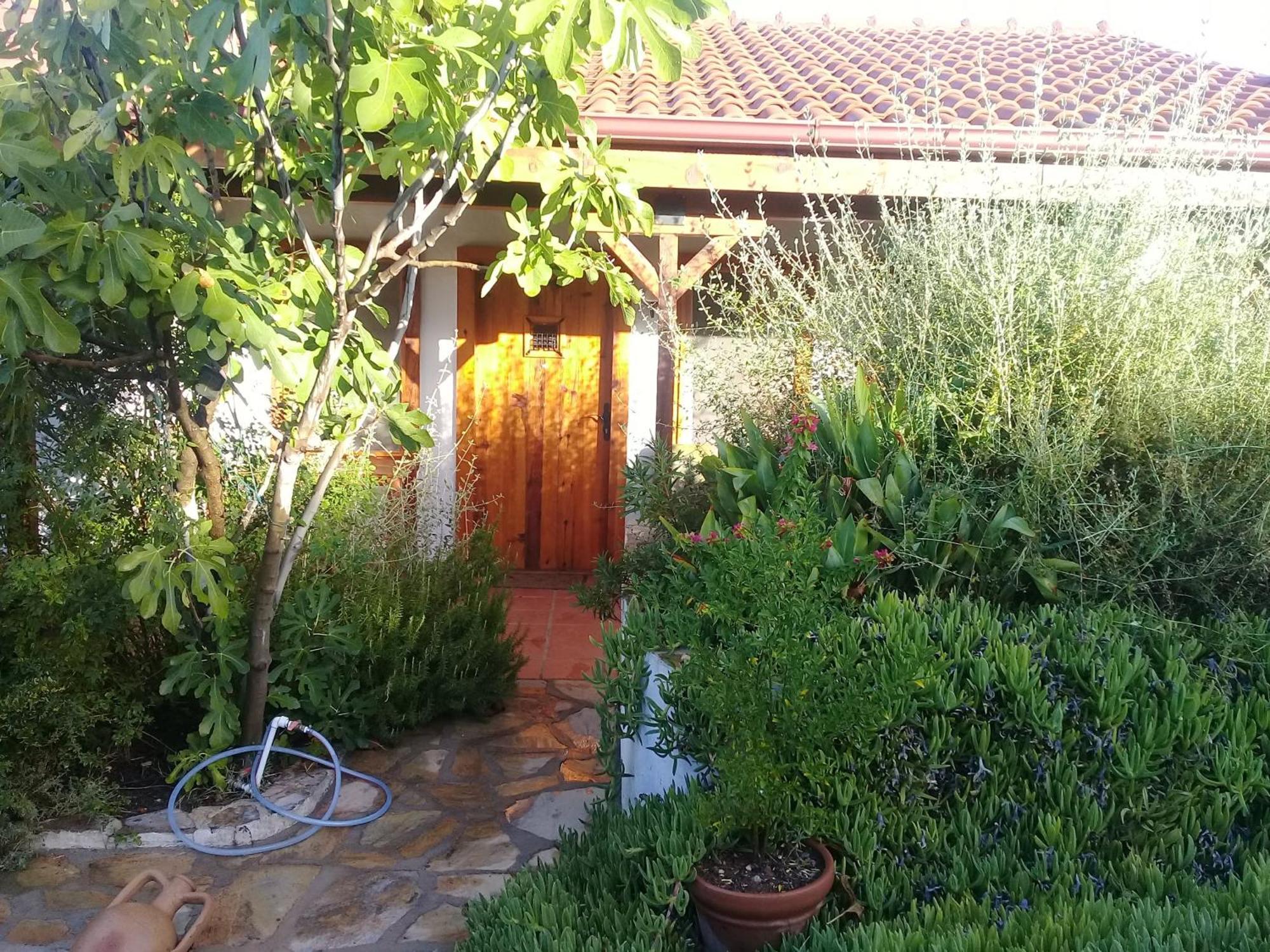 Ionia Guest House Aydin Extérieur photo