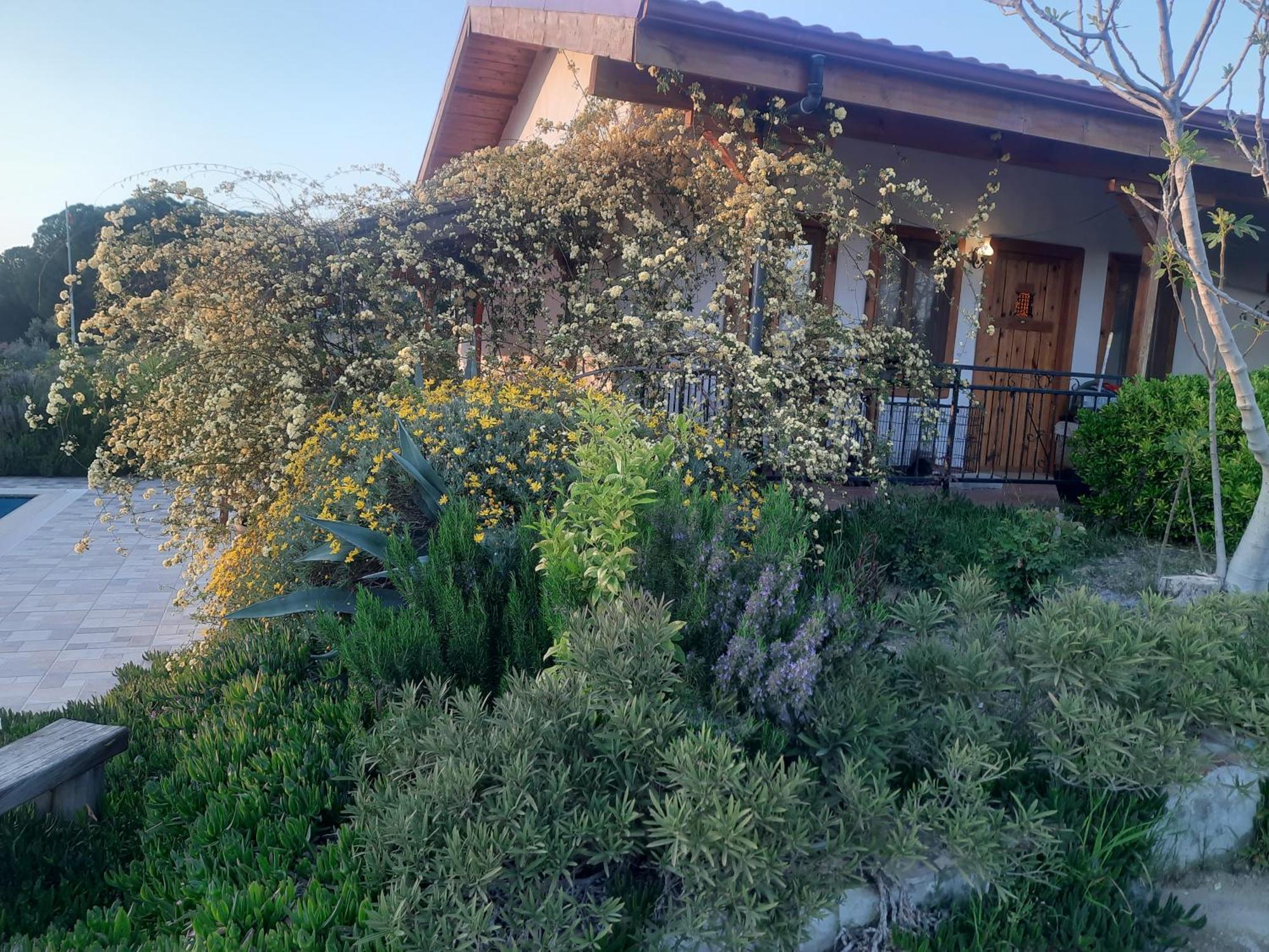 Ionia Guest House Aydin Extérieur photo