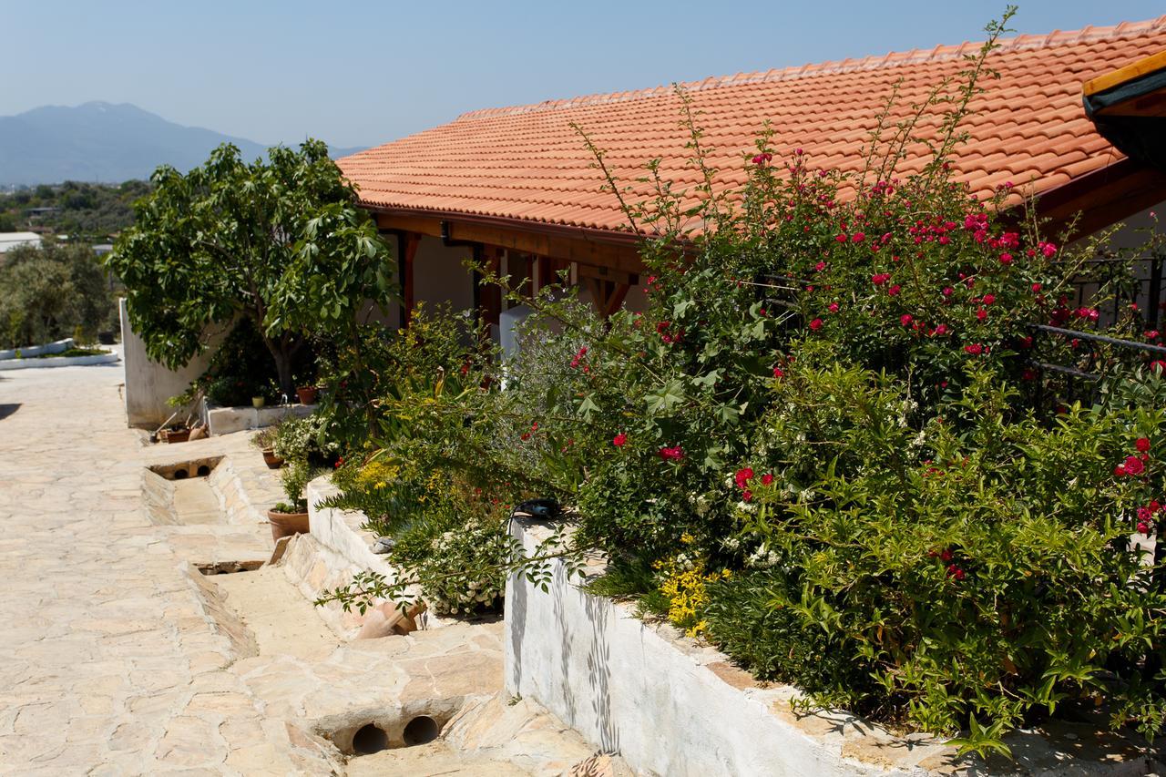 Ionia Guest House Aydin Extérieur photo