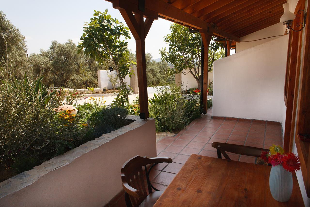 Ionia Guest House Aydin Extérieur photo